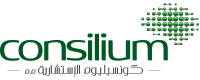 CONSILIUM L.L.C